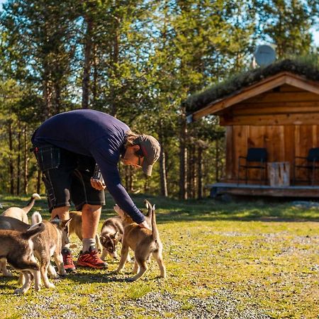 Jotunheimen Husky Lodge Randsverk Exterior foto
