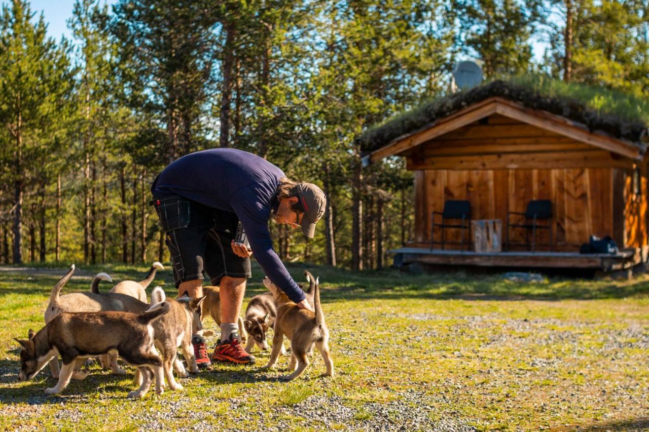 Jotunheimen Husky Lodge Randsverk Exterior foto